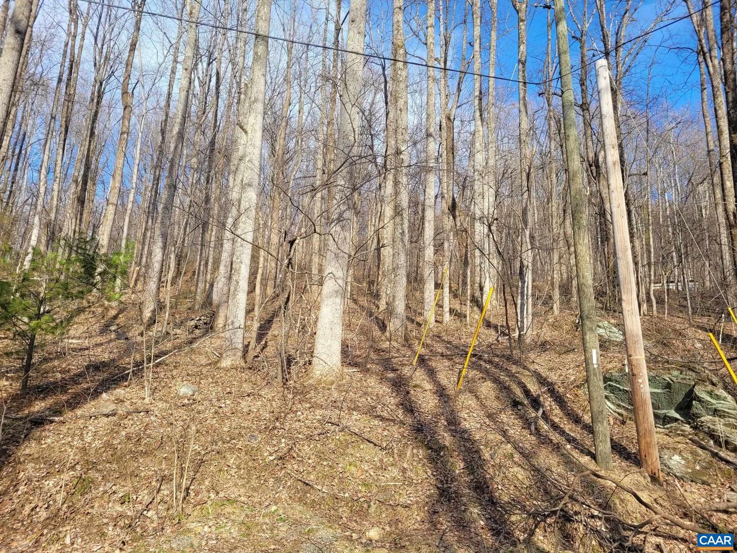 LOT 15 WINDY KNOLL LN, STANARDSVILLE, Virginia 22973, ,Land,For sale,LOT 15 WINDY KNOLL LN,661361 MLS # 661361