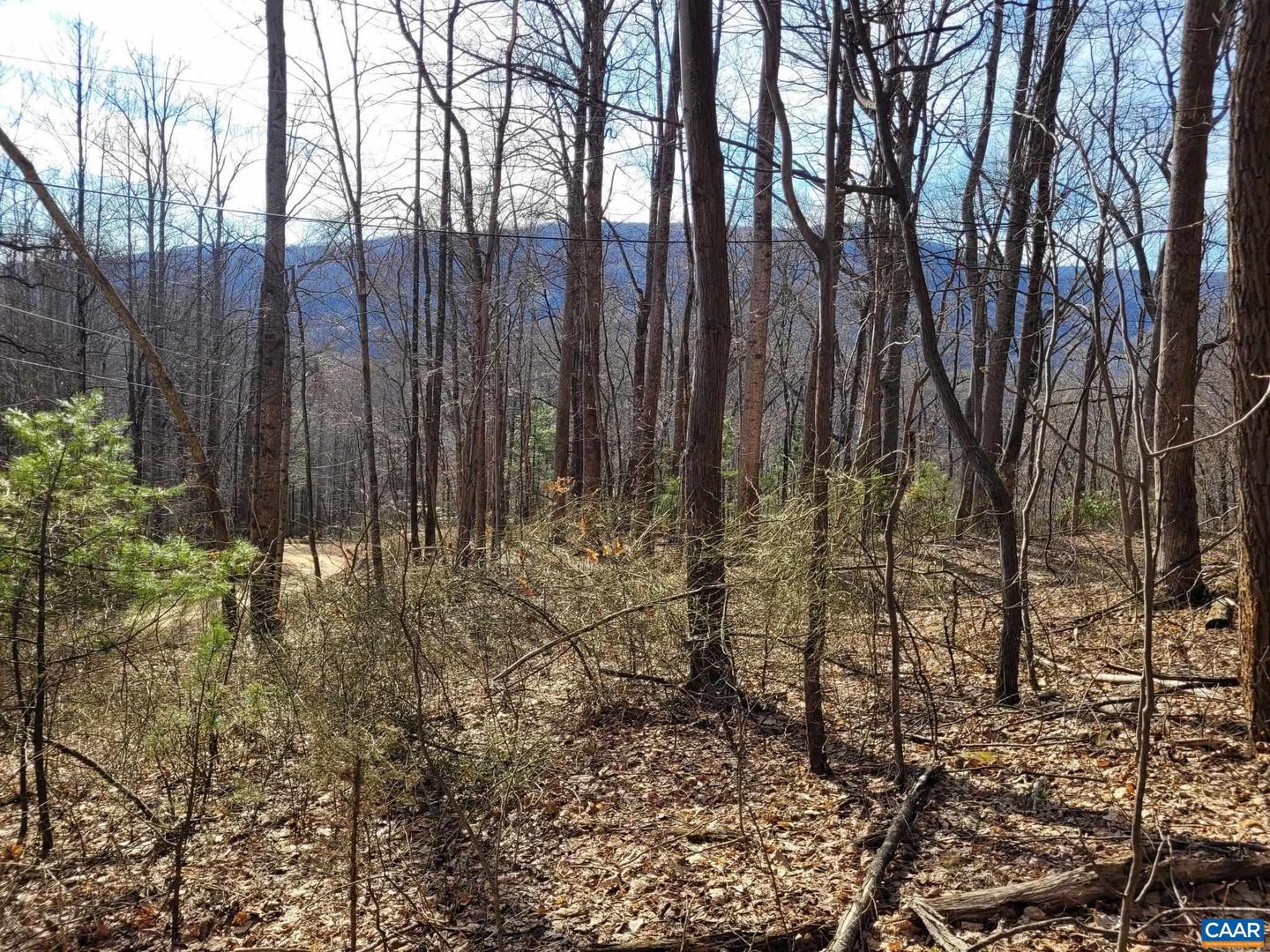 LOT 15 WINDY KNOLL LN, STANARDSVILLE, Virginia 22973, ,Land,For sale,LOT 15 WINDY KNOLL LN,661361 MLS # 661361