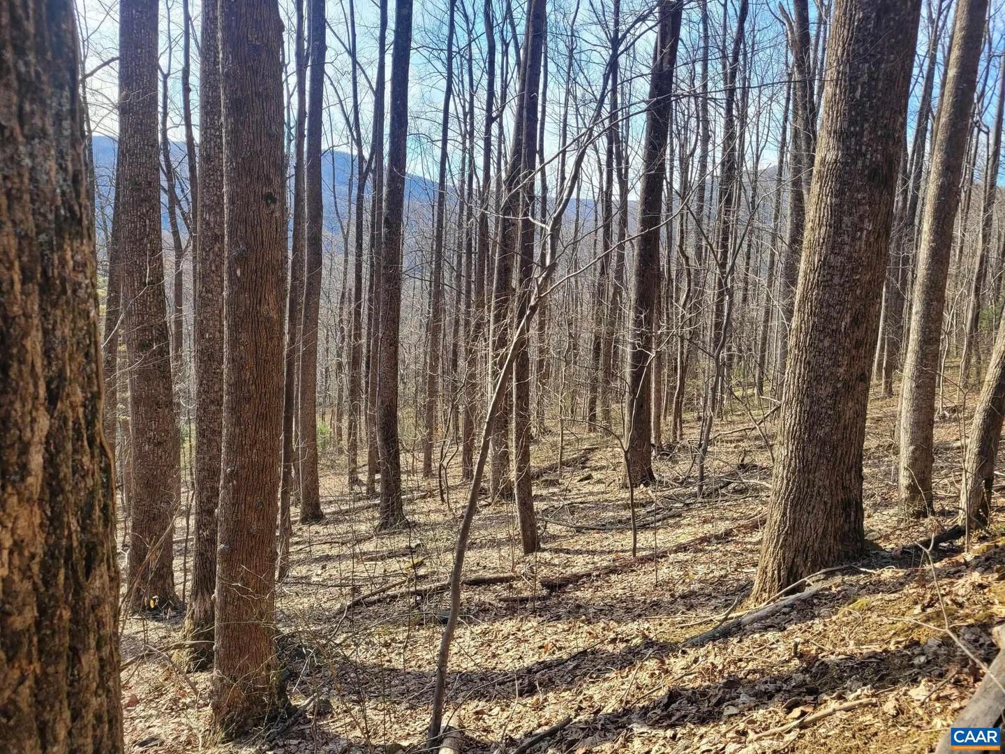 LOT 15 WINDY KNOLL LN, STANARDSVILLE, Virginia 22973, ,Land,For sale,LOT 15 WINDY KNOLL LN,661361 MLS # 661361