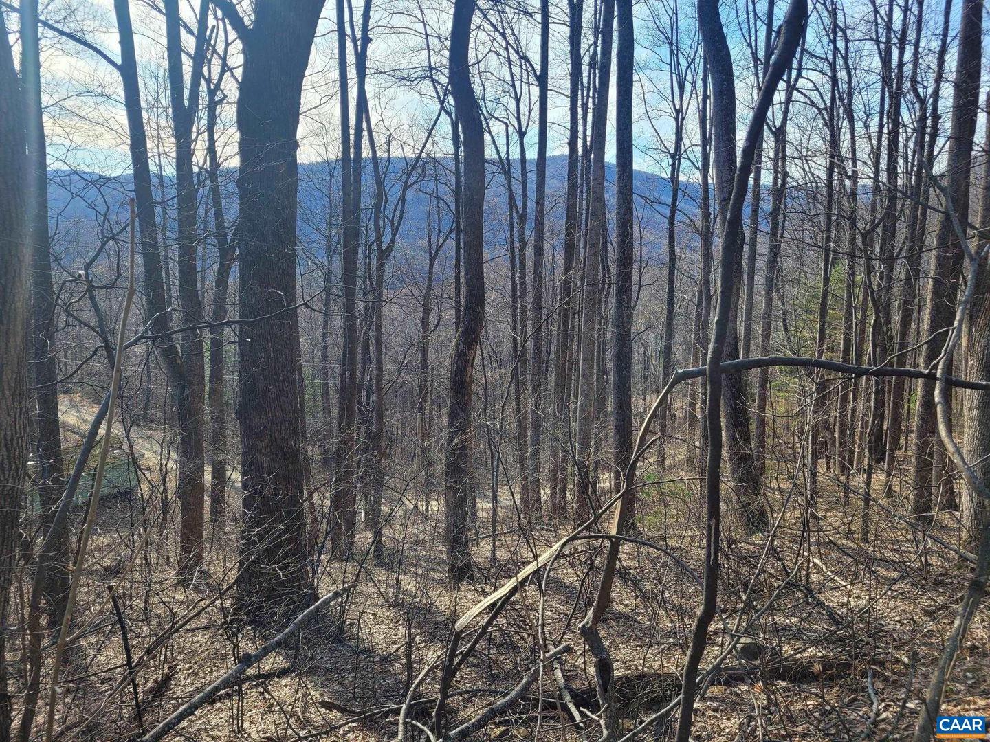 LOT 15 WINDY KNOLL LN, STANARDSVILLE, Virginia 22973, ,Land,For sale,LOT 15 WINDY KNOLL LN,661361 MLS # 661361