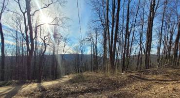 LOT 15 WINDY KNOLL LN, STANARDSVILLE, Virginia 22973, ,Land,For sale,LOT 15 WINDY KNOLL LN,661361 MLS # 661361