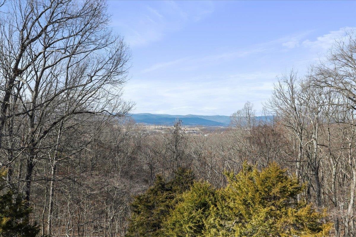 308 BRUSH LEAF LN, MOUNT JACKSON, Virginia 22842, 2 Bedrooms Bedrooms, ,2 BathroomsBathrooms,Residential,308 BRUSH LEAF LN,661352 MLS # 661352