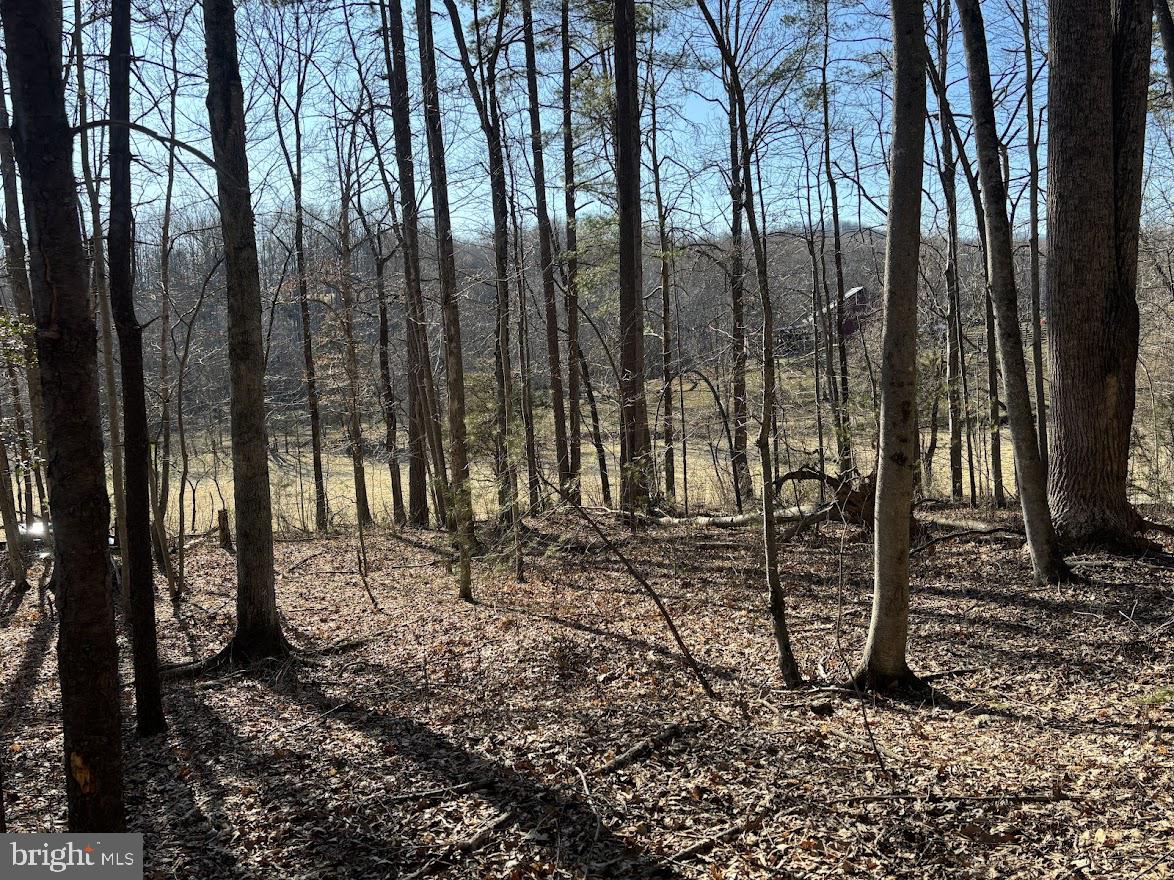 TBD DUET ROAD, MADISON, Virginia 22727, ,Land,For sale,TBD DUET ROAD,VAMA2002018 MLS # VAMA2002018