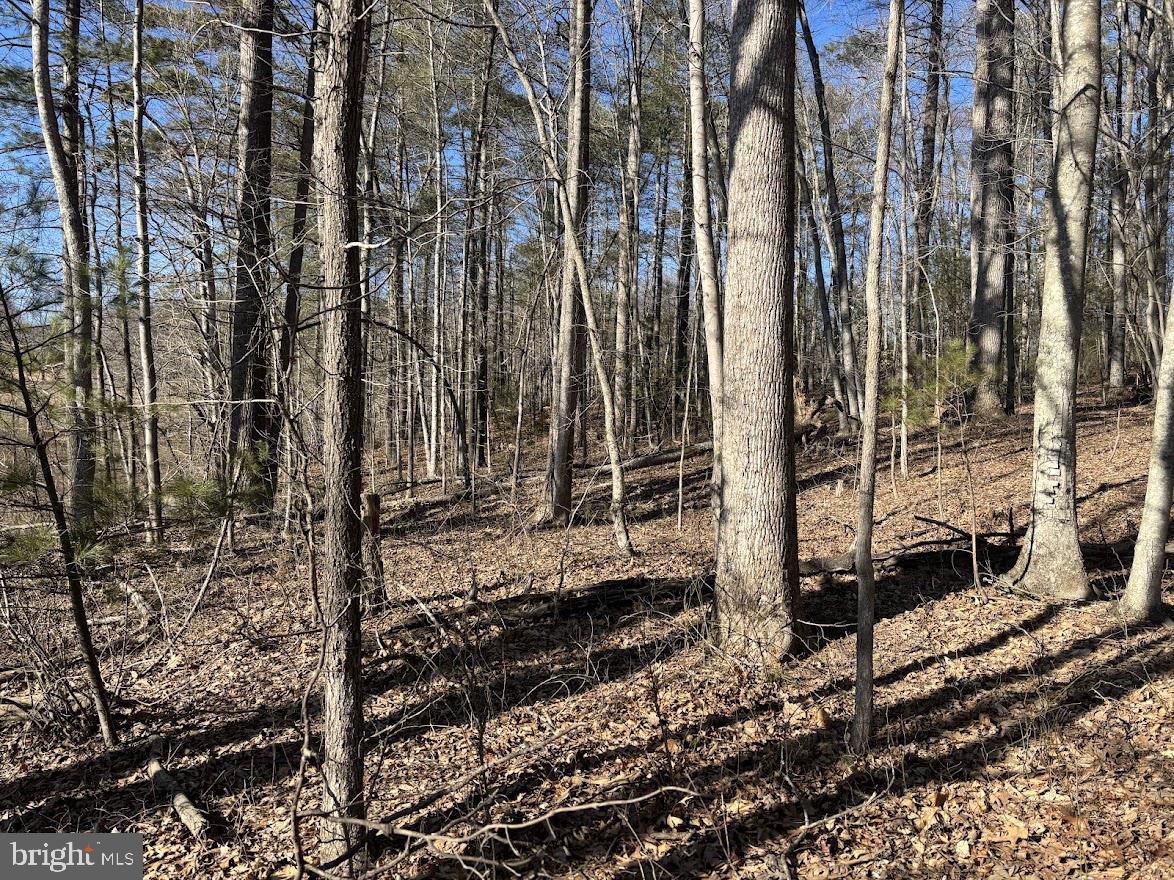 TBD DUET ROAD, MADISON, Virginia 22727, ,Land,For sale,TBD DUET ROAD,VAMA2002018 MLS # VAMA2002018