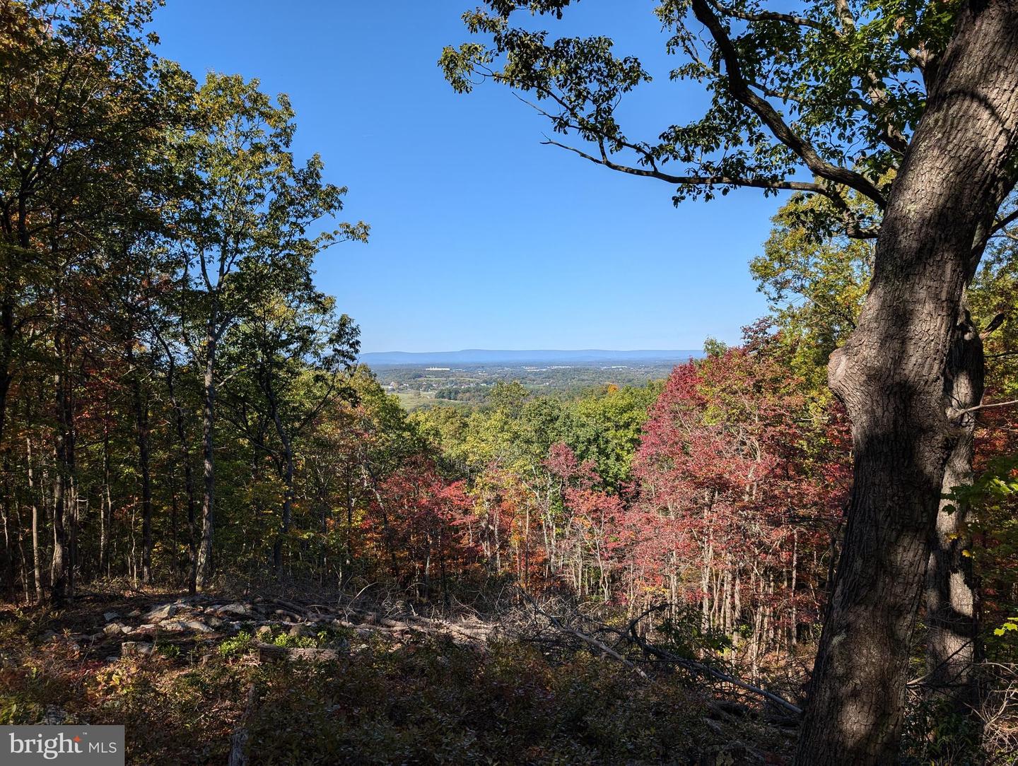 LOT 83 BALDWIN RD, FRONT ROYAL, Virginia 22630, ,Land,For sale,LOT 83 BALDWIN RD,VAWR2010502 MLS # VAWR2010502