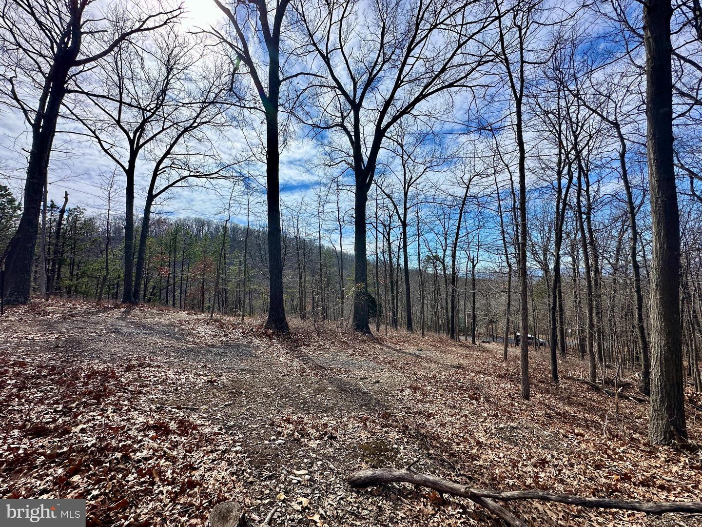 LOT 83 BALDWIN RD, FRONT ROYAL, Virginia 22630, ,Land,For sale,LOT 83 BALDWIN RD,VAWR2010502 MLS # VAWR2010502