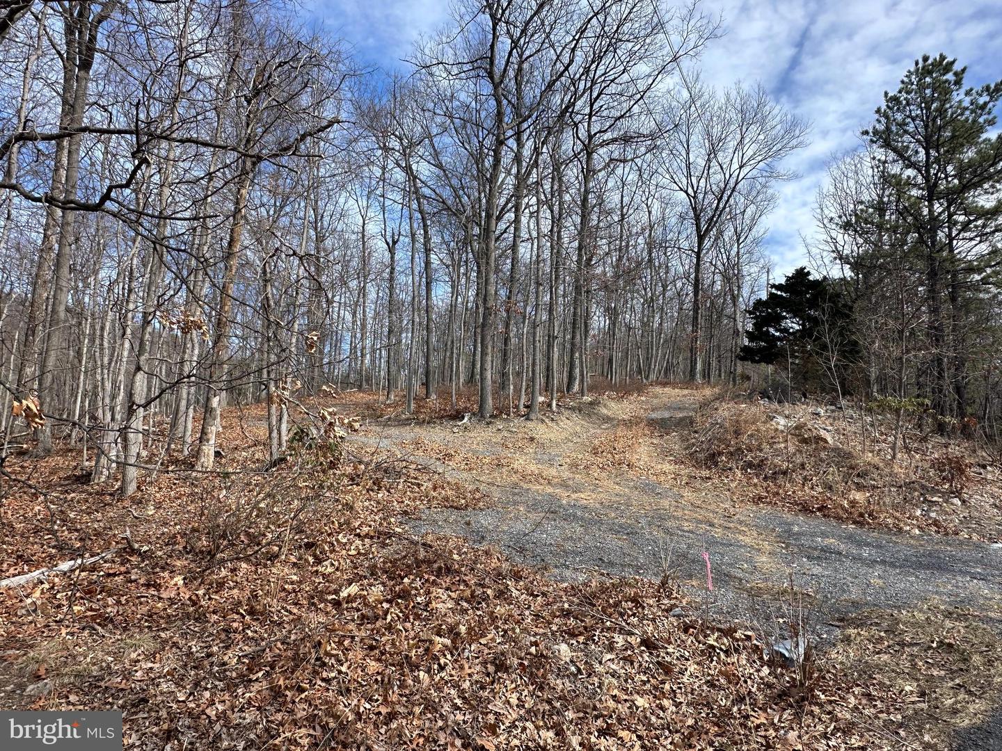 LOT 83 BALDWIN RD, FRONT ROYAL, Virginia 22630, ,Land,For sale,LOT 83 BALDWIN RD,VAWR2010502 MLS # VAWR2010502