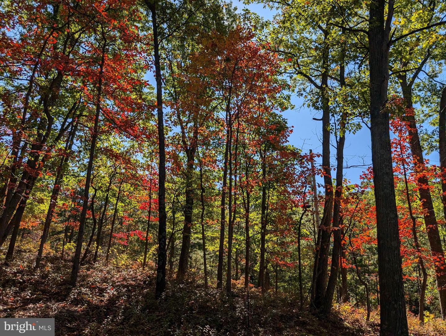 LOT 83 BALDWIN RD, FRONT ROYAL, Virginia 22630, ,Land,For sale,LOT 83 BALDWIN RD,VAWR2010502 MLS # VAWR2010502