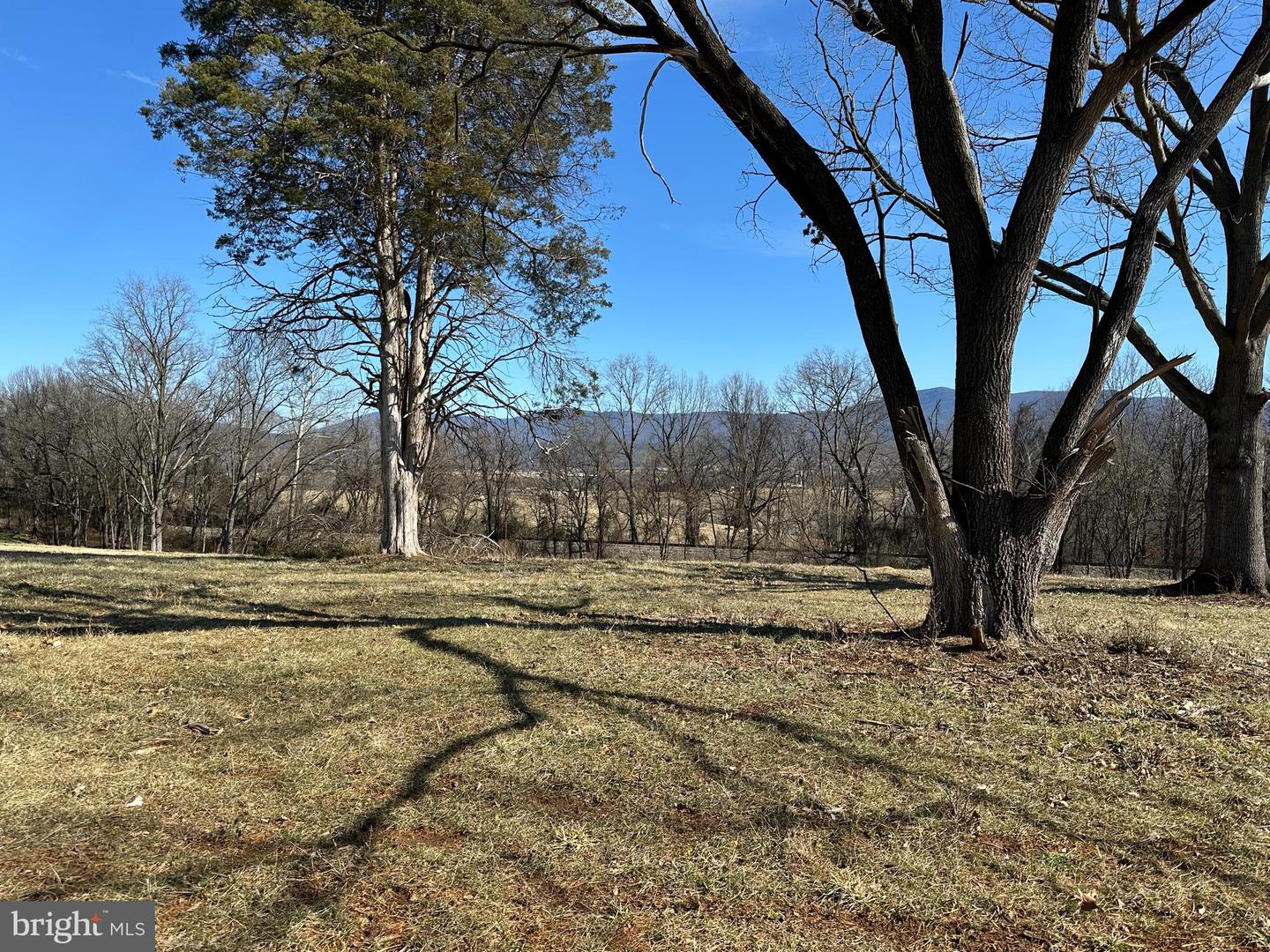 MILL CREEK ROAD, LURAY, Virginia 22835, ,Land,For sale,MILL CREEK ROAD,VAPA2004524 MLS # VAPA2004524