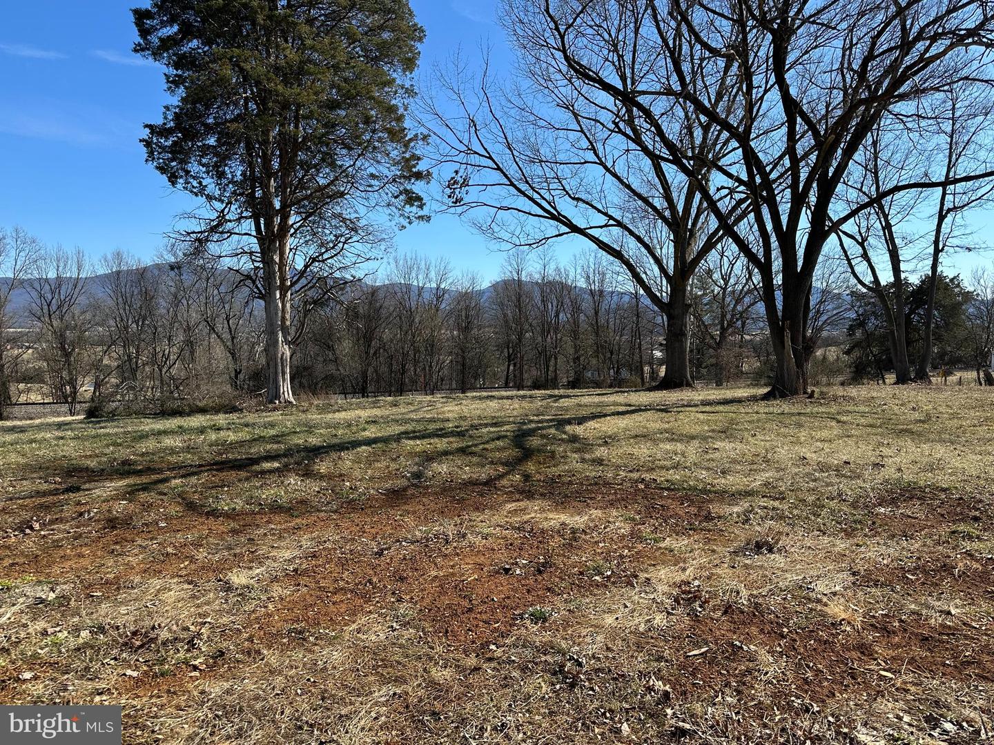 MILL CREEK ROAD, LURAY, Virginia 22835, ,Land,For sale,MILL CREEK ROAD,VAPA2004524 MLS # VAPA2004524