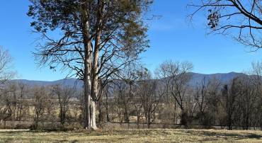 MILL CREEK ROAD, LURAY, Virginia 22835, ,Land,For sale,MILL CREEK ROAD,VAPA2004524 MLS # VAPA2004524