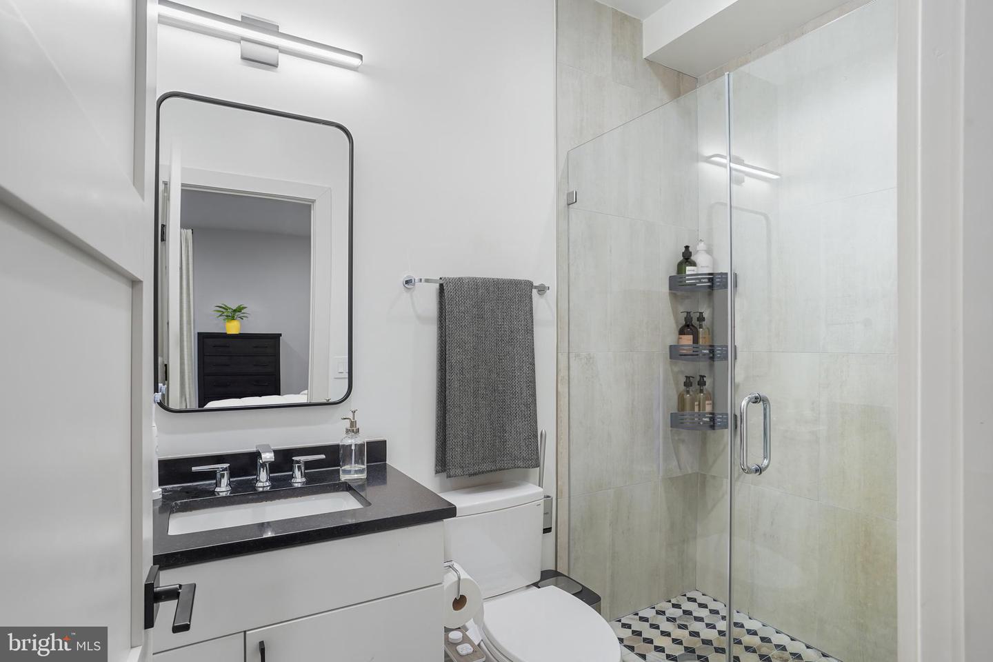 256 15TH ST SE #8, WASHINGTON, District Of Columbia 20003, 3 Bedrooms Bedrooms, ,3 BathroomsBathrooms,Residential,For sale,256 15TH ST SE #8,DCDC2187332 MLS # DCDC2187332