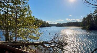 LOT 6 LIGHTHOUSE LN, HEATHSVILLE, Virginia 22473, ,Land,For sale,LOT 6 LIGHTHOUSE LN,VANV2001010 MLS # VANV2001010