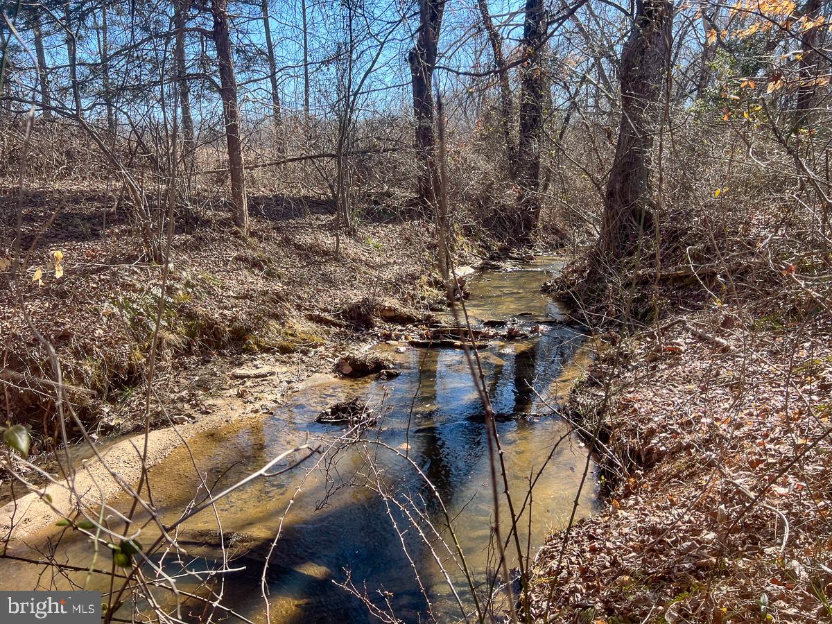 28.604 ACRES CARTERSVILLE ROAD, CARTERSVILLE, Virginia 23027, ,Land,For sale,28.604 ACRES CARTERSVILLE ROAD,VACB2000042 MLS # VACB2000042