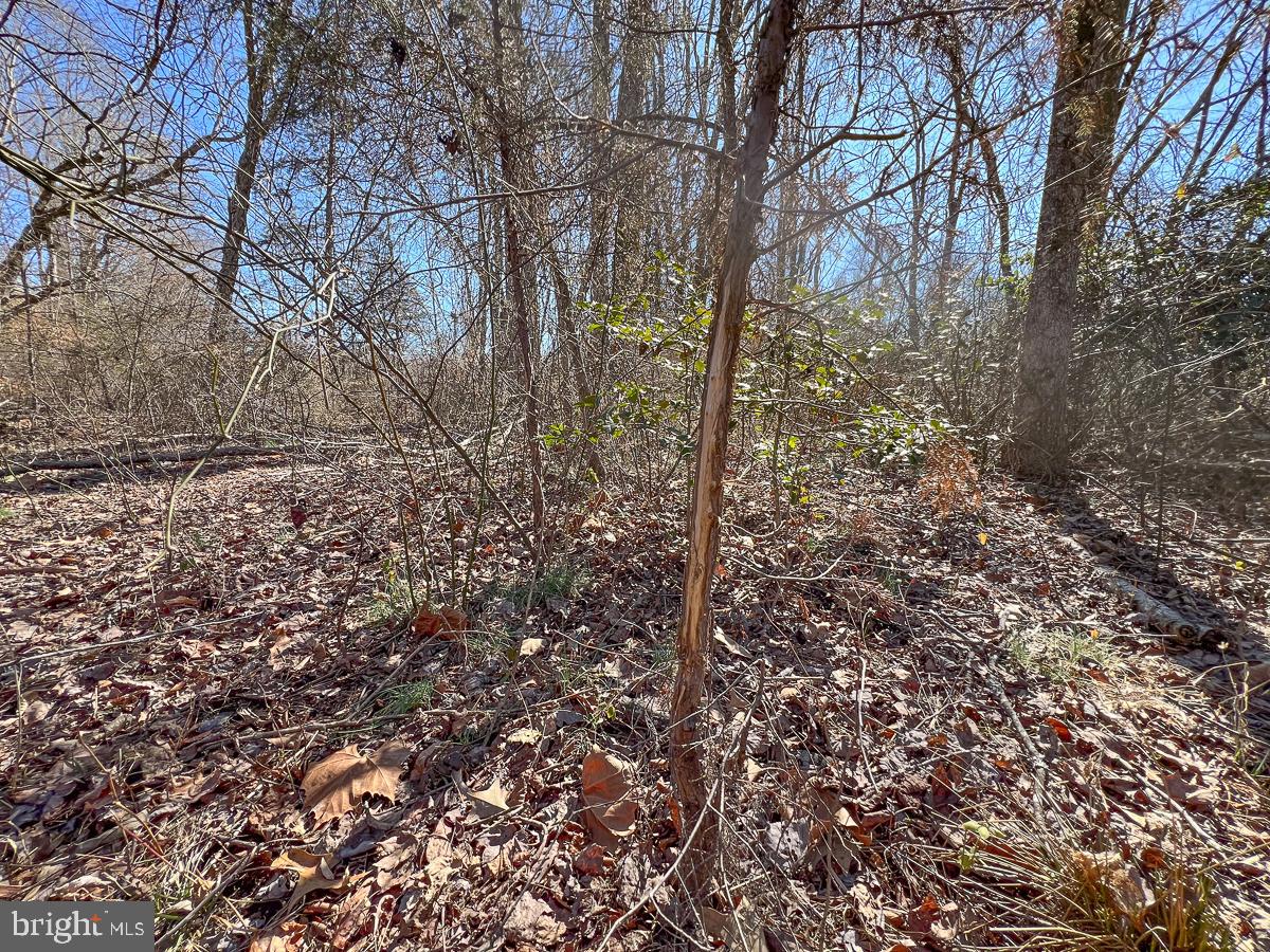 28.604 ACRES CARTERSVILLE ROAD, CARTERSVILLE, Virginia 23027, ,Land,For sale,28.604 ACRES CARTERSVILLE ROAD,VACB2000042 MLS # VACB2000042