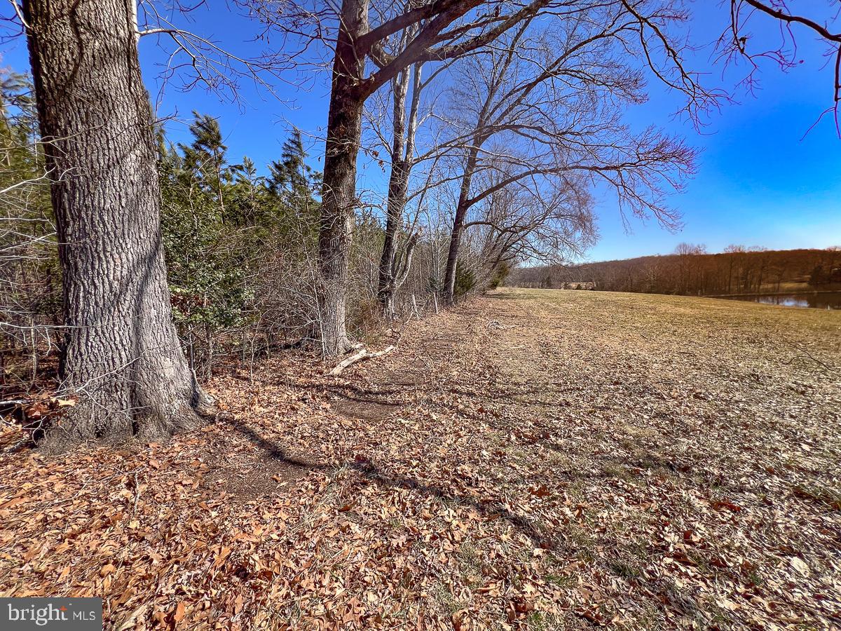 28.604 ACRES CARTERSVILLE ROAD, CARTERSVILLE, Virginia 23027, ,Land,For sale,28.604 ACRES CARTERSVILLE ROAD,VACB2000042 MLS # VACB2000042