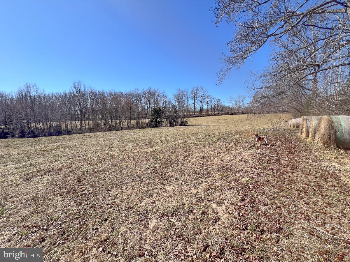 28.604 ACRES CARTERSVILLE ROAD, CARTERSVILLE, Virginia 23027, ,Land,For sale,28.604 ACRES CARTERSVILLE ROAD,VACB2000042 MLS # VACB2000042