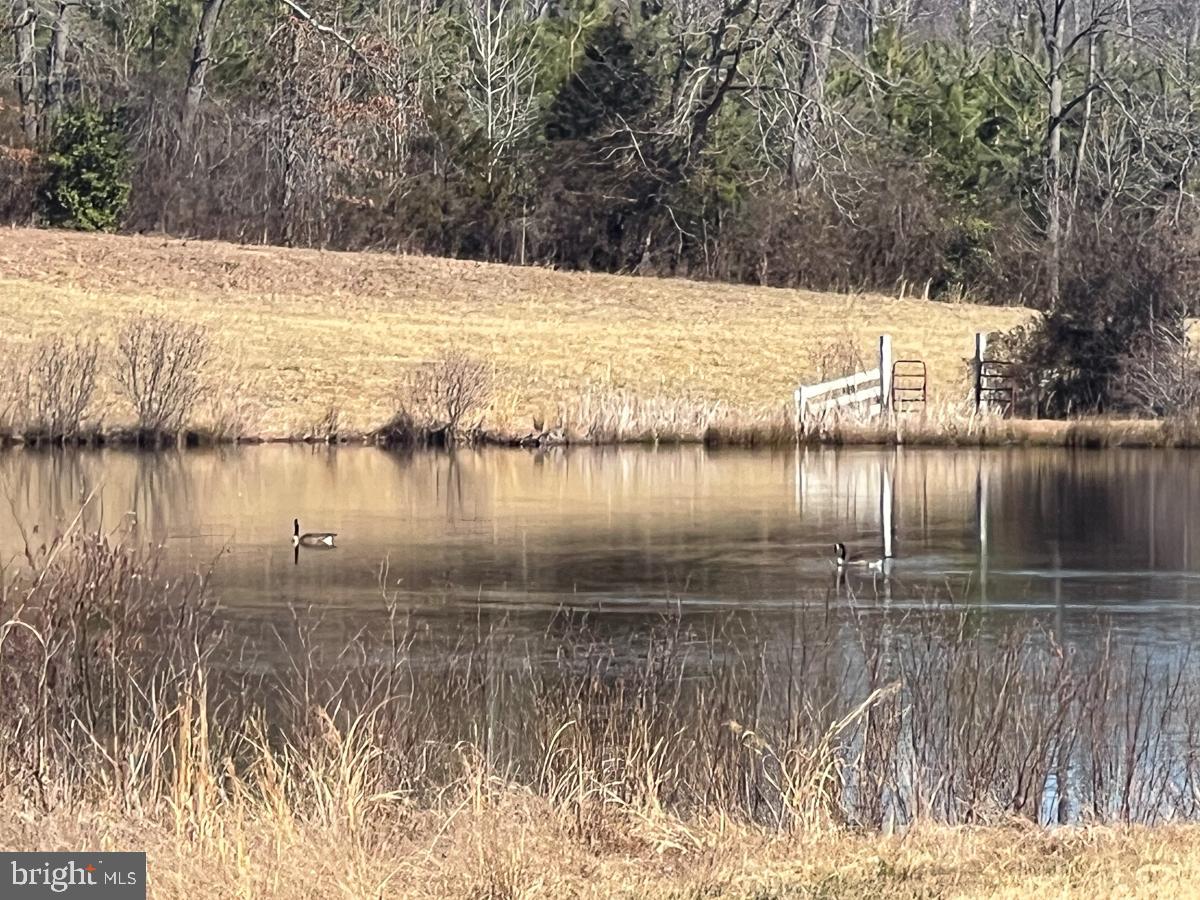 28.604 ACRES CARTERSVILLE ROAD, CARTERSVILLE, Virginia 23027, ,Land,For sale,28.604 ACRES CARTERSVILLE ROAD,VACB2000042 MLS # VACB2000042