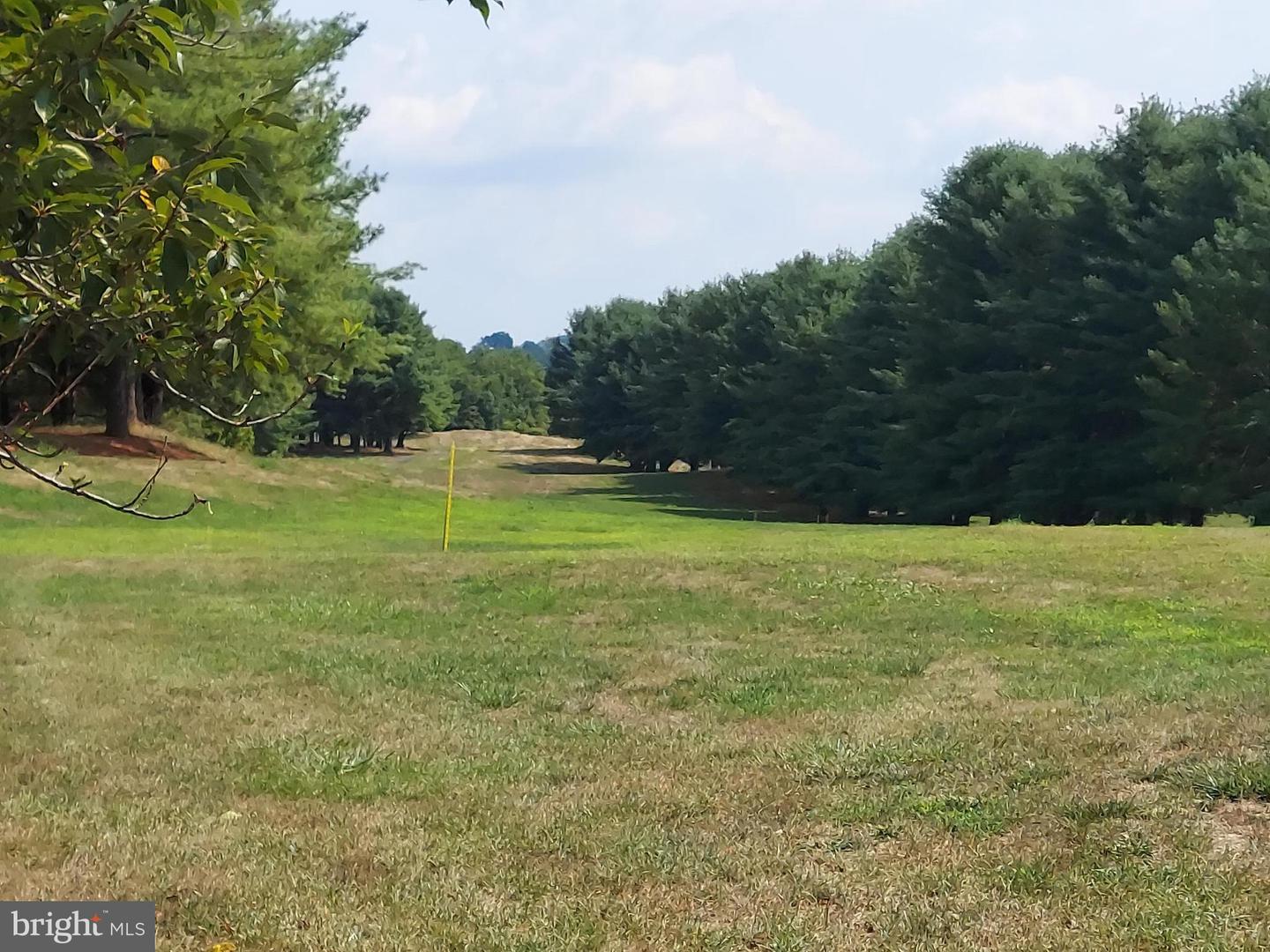 BOWLING VIEW #LOT 46E, FRONT ROYAL, Virginia 22630, ,Land,For sale,BOWLING VIEW #LOT 46E,VAWR2010506 MLS # VAWR2010506