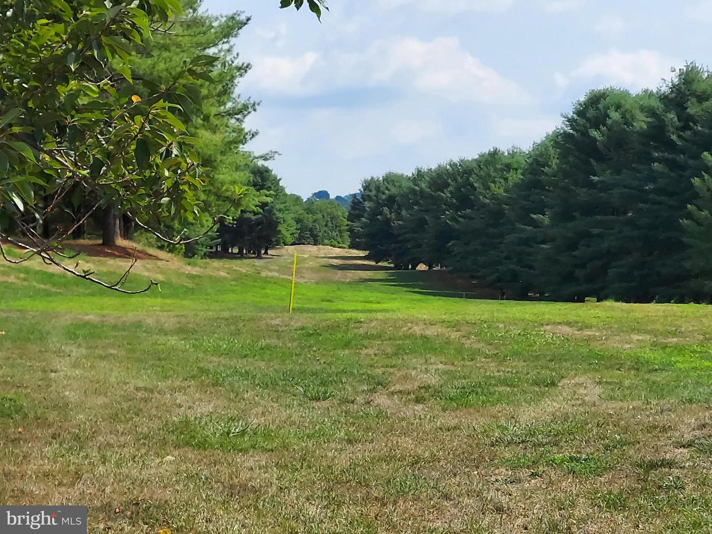 BOWLING VIEW #LOT 46E, FRONT ROYAL, Virginia 22630, ,Land,For sale,BOWLING VIEW #LOT 46E,VAWR2010506 MLS # VAWR2010506