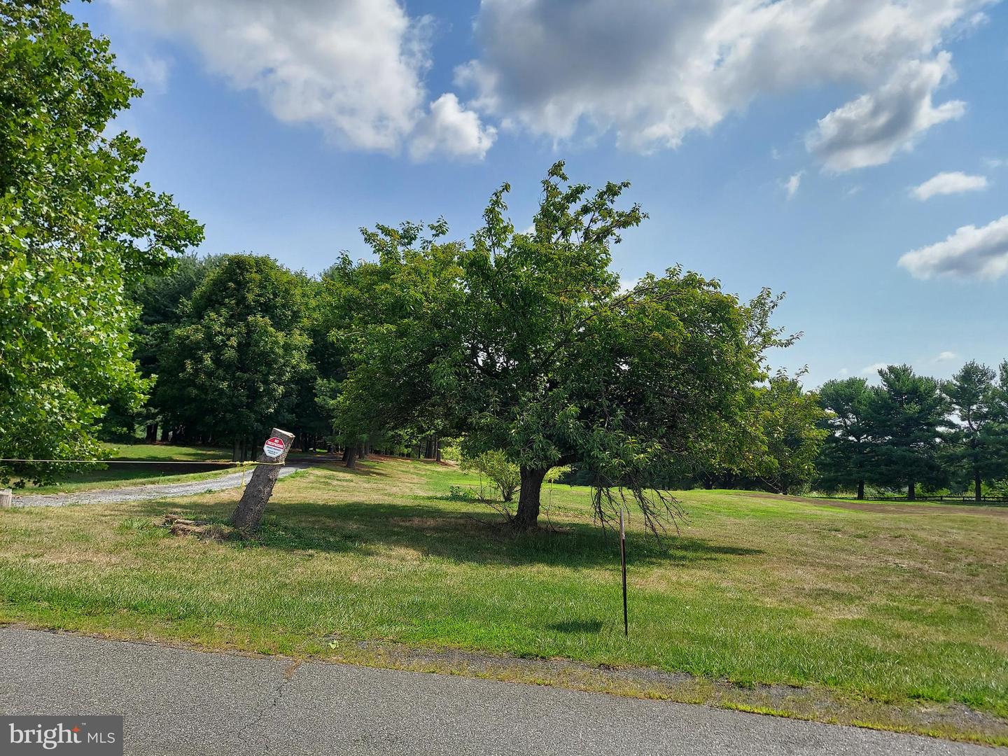 BOWLING VIEW #LOT 46E, FRONT ROYAL, Virginia 22630, ,Land,For sale,BOWLING VIEW #LOT 46E,VAWR2010506 MLS # VAWR2010506