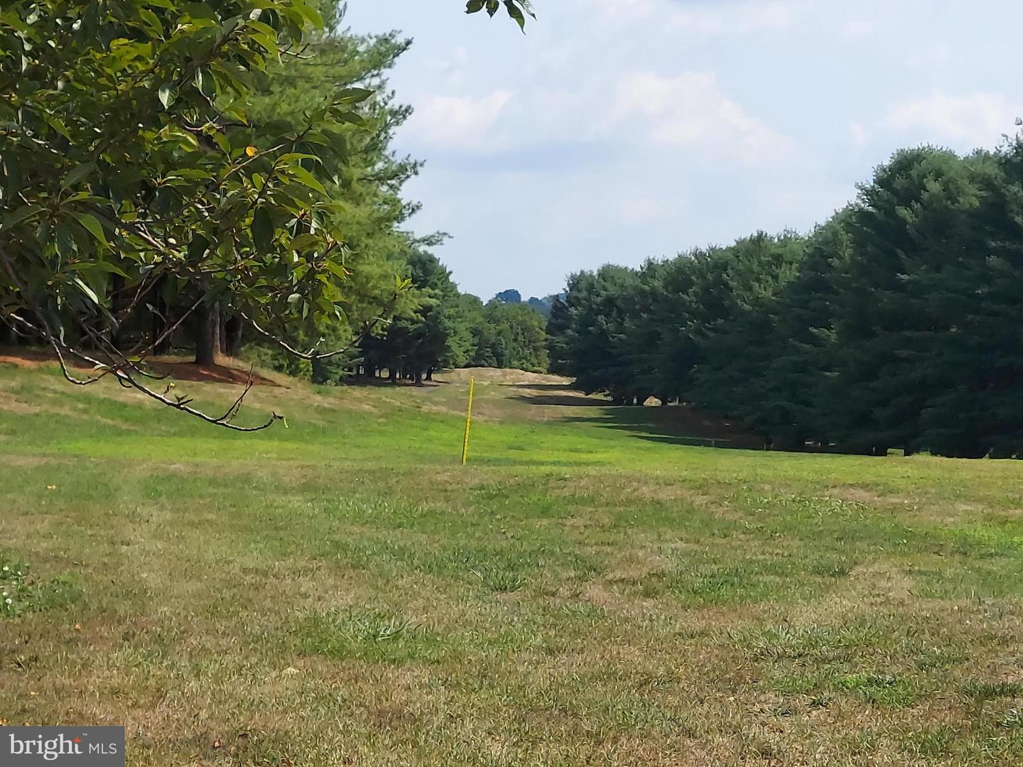 BOWLING VIEW #LOT 46E, FRONT ROYAL, Virginia 22630, ,Land,For sale,BOWLING VIEW #LOT 46E,VAWR2010506 MLS # VAWR2010506