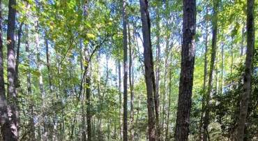 LOT 46 RIVERWOOD DR, LANCASTER, Virginia 22503, ,Land,For sale,LOT 46 RIVERWOOD DR,VALV2000706 MLS # VALV2000706