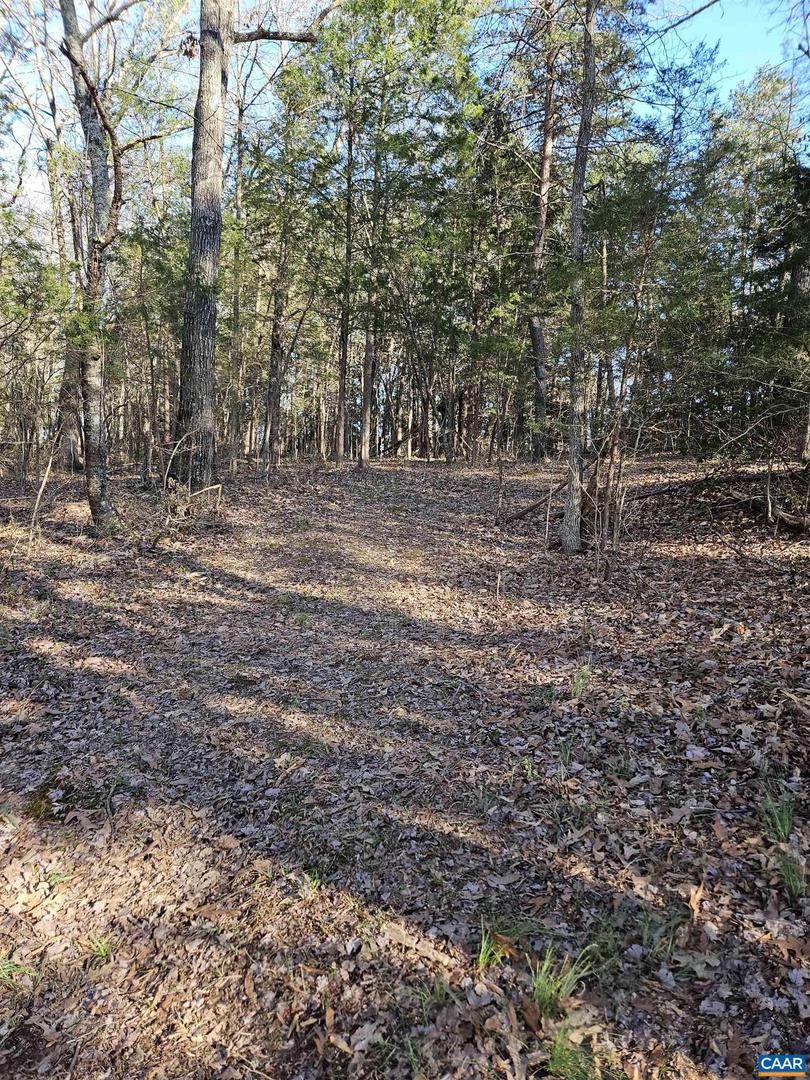 TBD SALEM RD, CUMBERLAND, Virginia 23040, ,Land,For sale,TBD SALEM RD,661417 MLS # 661417