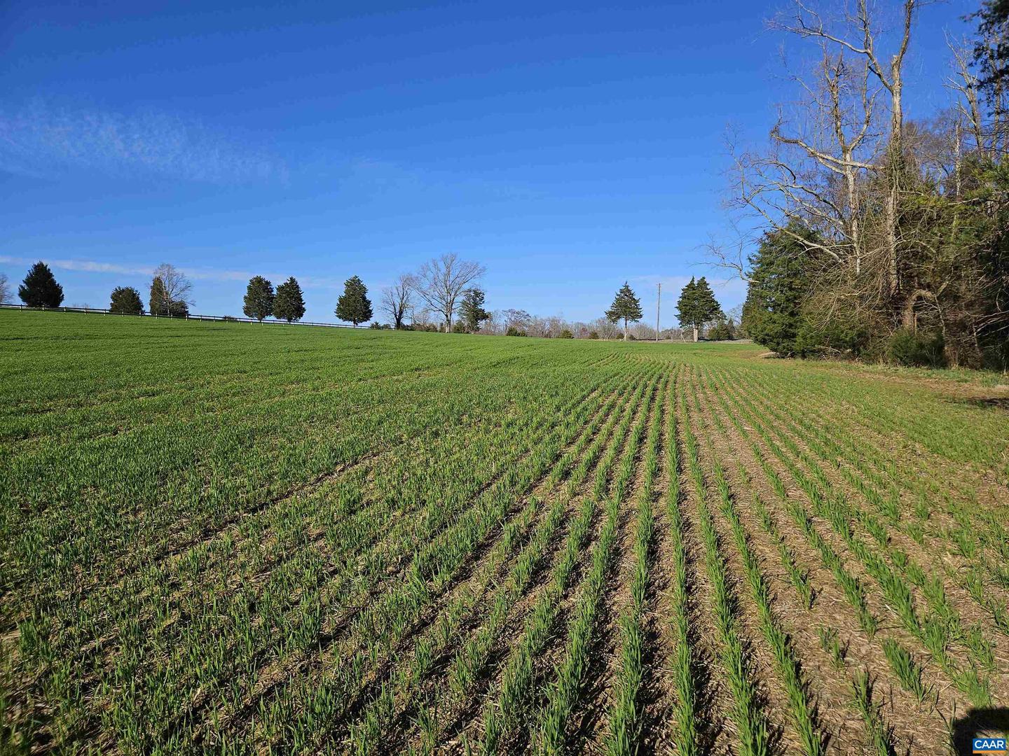 TBD SALEM RD, CUMBERLAND, Virginia 23040, ,Land,For sale,TBD SALEM RD,661417 MLS # 661417