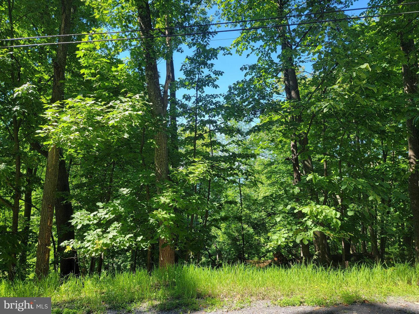 LOT 38 F WINDY WAY, FRONT ROYAL, Virginia 22630, ,Land,For sale,LOT 38 F WINDY WAY,VAWR2010512 MLS # VAWR2010512