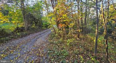 LOT 5 CAVE SPRINGS LN., EDINBURG, Virginia 22824, ,Land,For sale,LOT 5 CAVE SPRINGS LN.,VASH2009922 MLS # VASH2009922