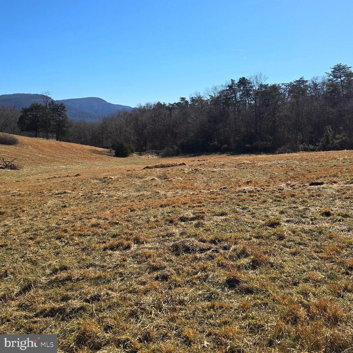 LOT C RUSS JOHNSON ROAD, FRONT ROYAL, Virginia 22630, ,Land,For sale,LOT C RUSS JOHNSON ROAD,VAWR2010514 MLS # VAWR2010514