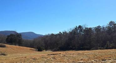 LOT C RUSS JOHNSON ROAD, FRONT ROYAL, Virginia 22630, ,Land,For sale,LOT C RUSS JOHNSON ROAD,VAWR2010514 MLS # VAWR2010514