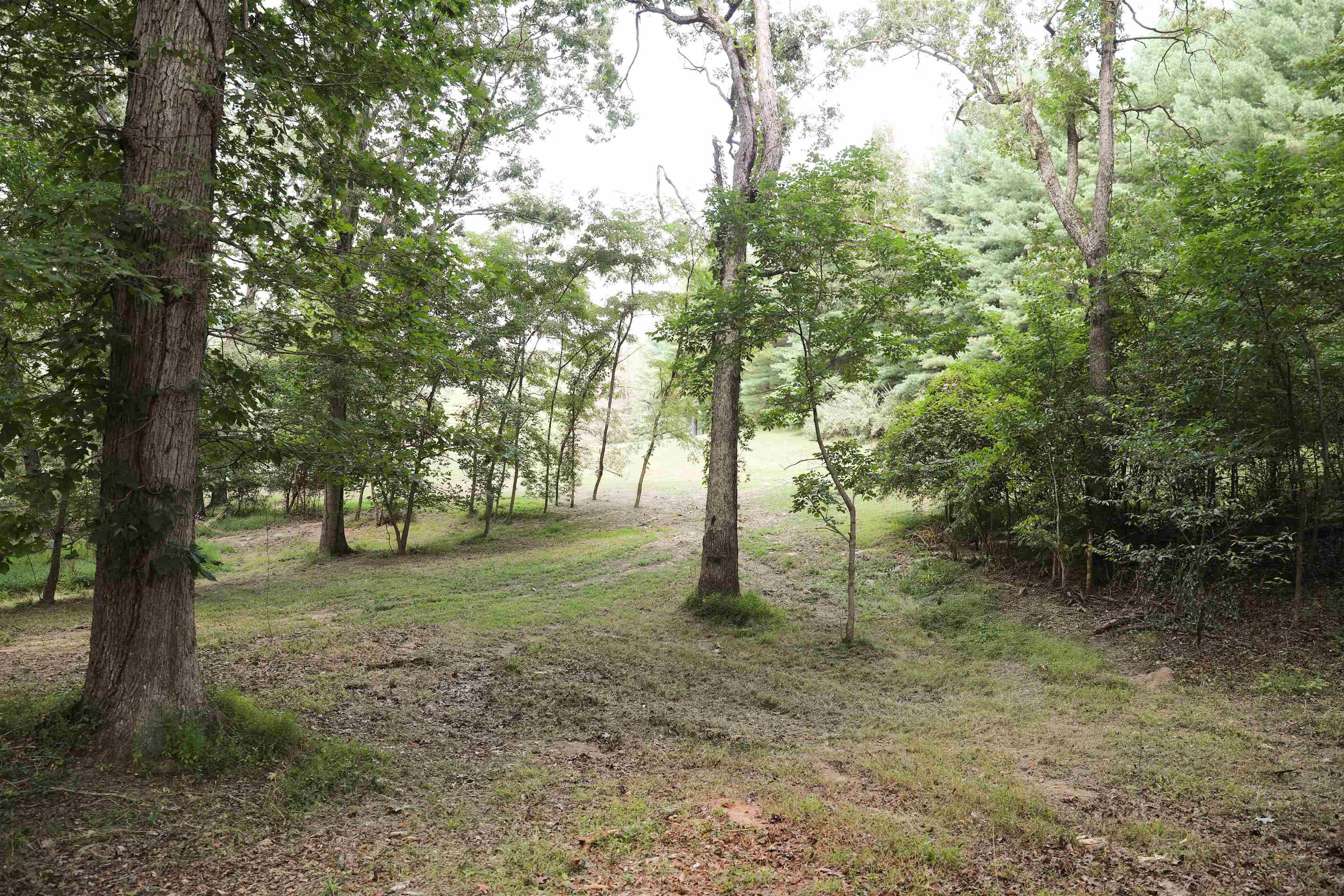 TBD MORRIS MILL RD, STAUNTON, Virginia 24401, ,Land,TBD MORRIS MILL RD,656347 MLS # 656347