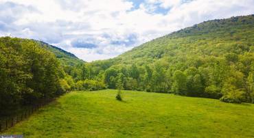 160 CAPON SPRINGS GRADE, STAR TANNERY, Virginia 22654, ,Land,For sale,160 CAPON SPRINGS GRADE,VAFV2014170 MLS # VAFV2014170