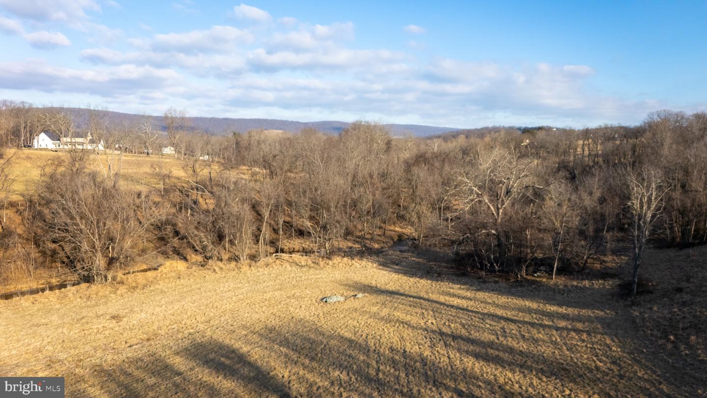 0 SNICKERVILLE TUNRPIKE, ROUND HILL, Virginia 20141, ,Land,For sale,0 SNICKERVILLE TUNRPIKE,VALO2090008 MLS # VALO2090008