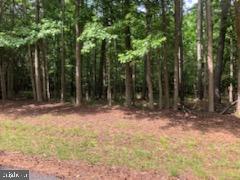 LOT 11 PEACEFUL WAY, EXMORE, Virginia 23350, ,Land,For sale,LOT 11 PEACEFUL WAY,VANH2000040 MLS # VANH2000040