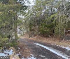 LOT 48H GERMANNA HWY, LOCUST GROVE, Virginia 22508, ,Land,For sale,LOT 48H GERMANNA HWY,VAOR2006326 MLS # VAOR2006326