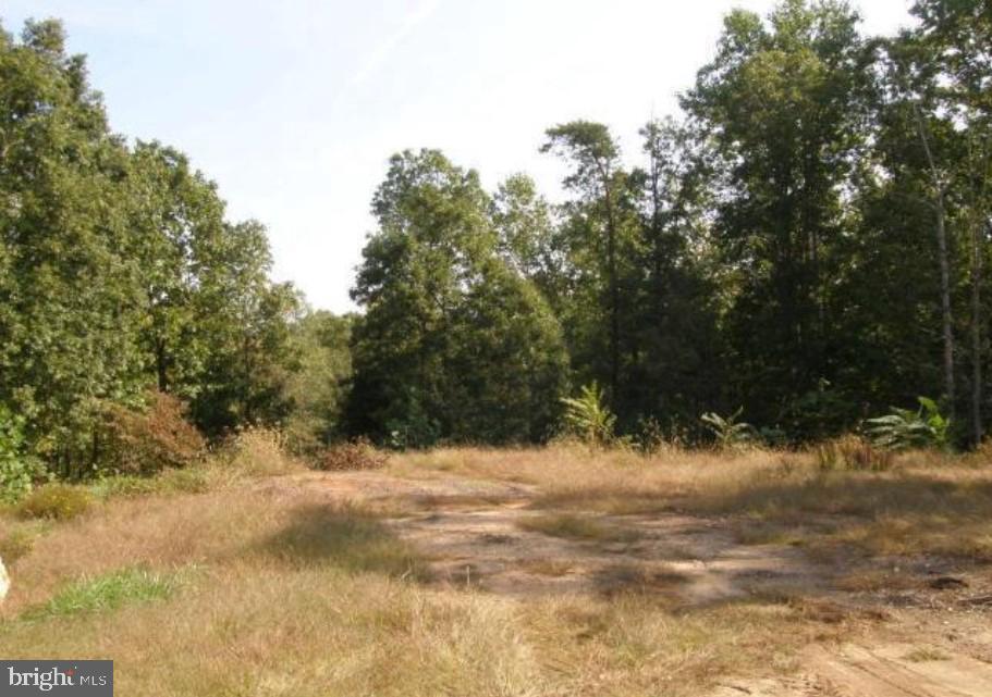 LOT 48H GERMANNA HWY, LOCUST GROVE, Virginia 22508, ,Land,For sale,LOT 48H GERMANNA HWY,VAOR2006326 MLS # VAOR2006326