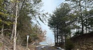 LOT 48H GERMANNA HWY, LOCUST GROVE, Virginia 22508, ,Land,For sale,LOT 48H GERMANNA HWY,VAOR2006326 MLS # VAOR2006326