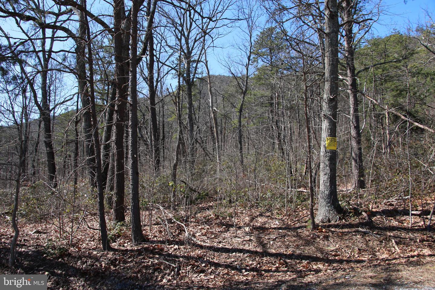 SHIPWRECK RD, SHENANDOAH, Virginia 22849, ,Land,For sale,SHIPWRECK RD,VAPA2004526 MLS # VAPA2004526