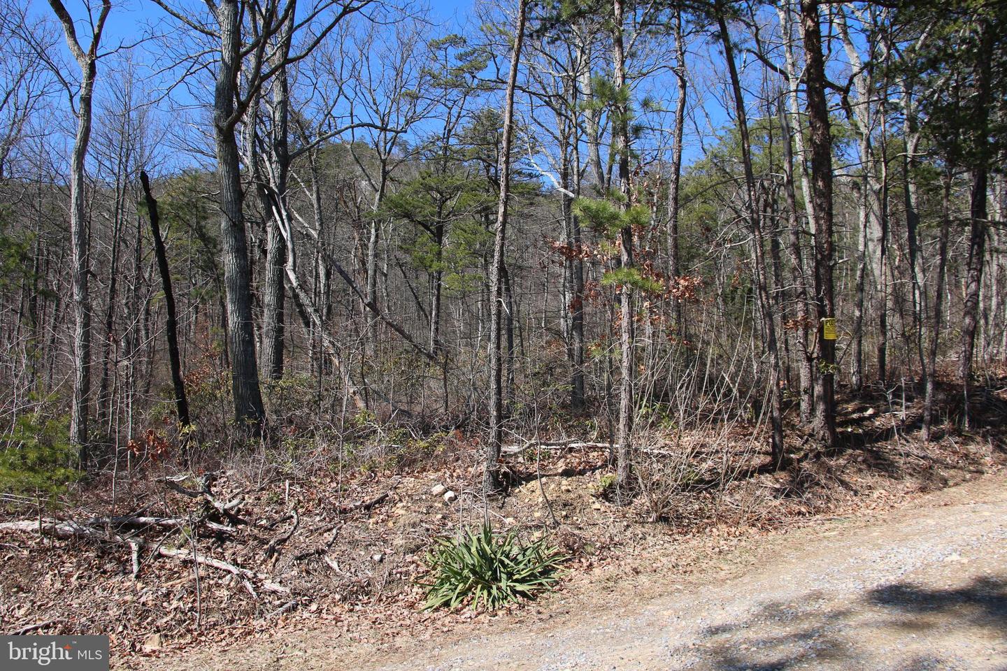 SHIPWRECK RD, SHENANDOAH, Virginia 22849, ,Land,For sale,SHIPWRECK RD,VAPA2004526 MLS # VAPA2004526