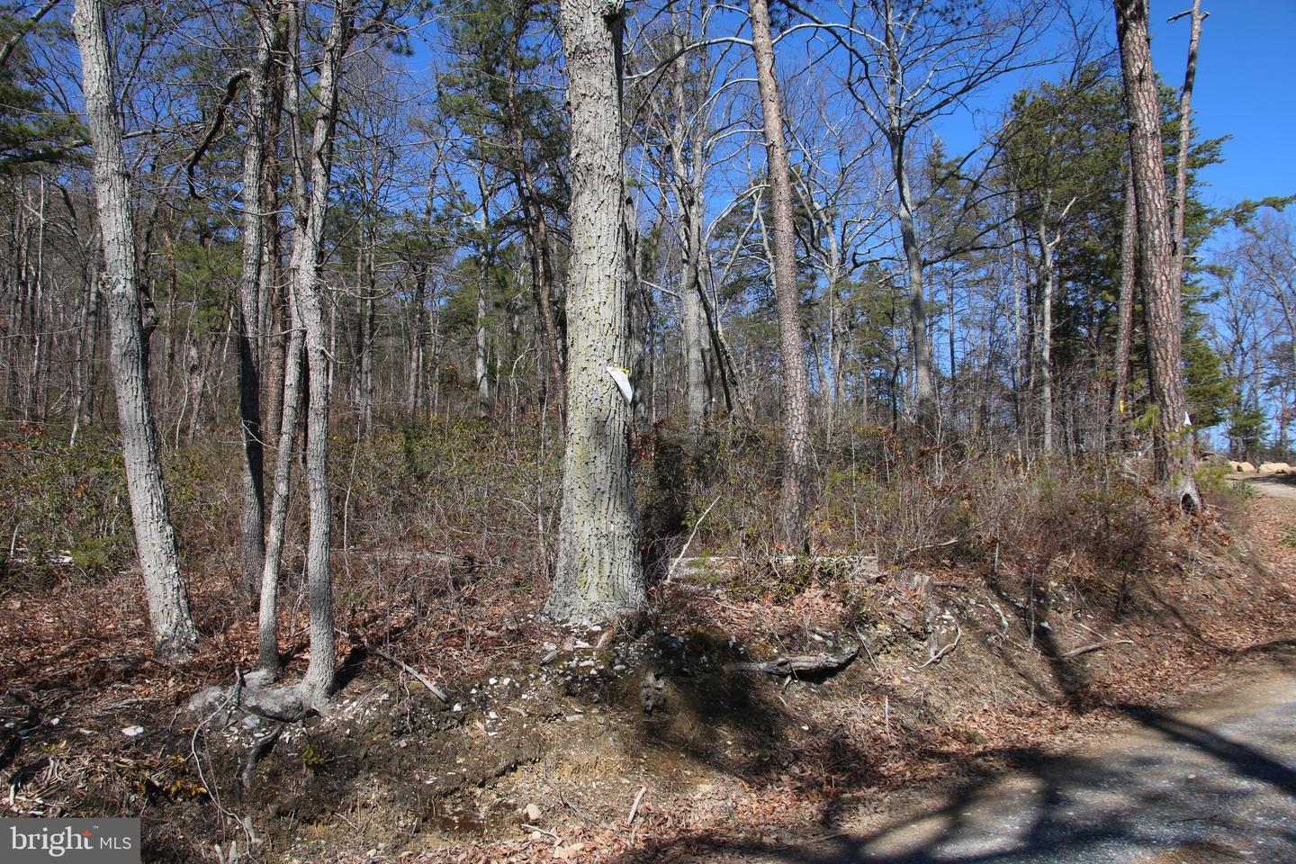 SHIPWRECK RD, SHENANDOAH, Virginia 22849, ,Land,For sale,SHIPWRECK RD,VAPA2004526 MLS # VAPA2004526