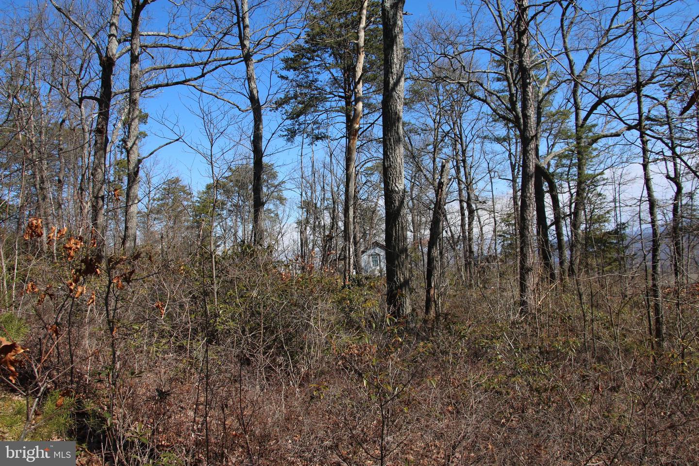 SHIPWRECK RD, SHENANDOAH, Virginia 22849, ,Land,For sale,SHIPWRECK RD,VAPA2004526 MLS # VAPA2004526