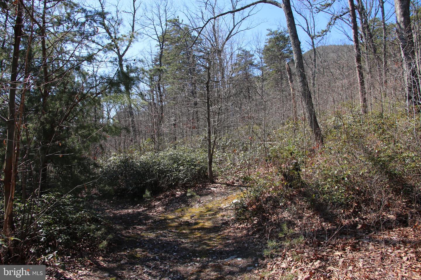 SHIPWRECK RD, SHENANDOAH, Virginia 22849, ,Land,For sale,SHIPWRECK RD,VAPA2004526 MLS # VAPA2004526