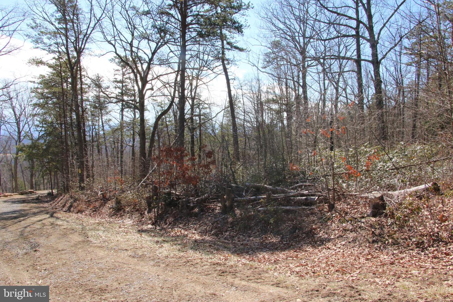 SHIPWRECK RD, SHENANDOAH, Virginia 22849, ,Land,For sale,SHIPWRECK RD,VAPA2004526 MLS # VAPA2004526