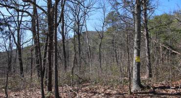 SHIPWRECK RD, SHENANDOAH, Virginia 22849, ,Land,For sale,SHIPWRECK RD,VAPA2004526 MLS # VAPA2004526