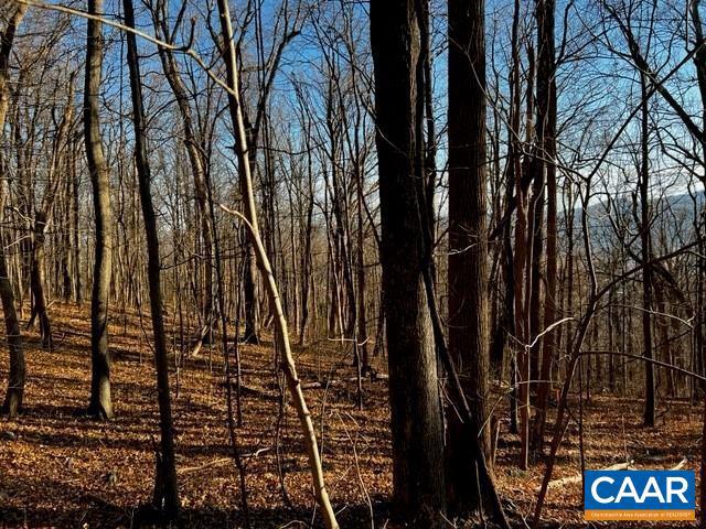 730 FAR KNOB CLIMB #15, NELLYSFORD, Virginia 22958, ,Land,For sale,730 FAR KNOB CLIMB #15,661482 MLS # 661482