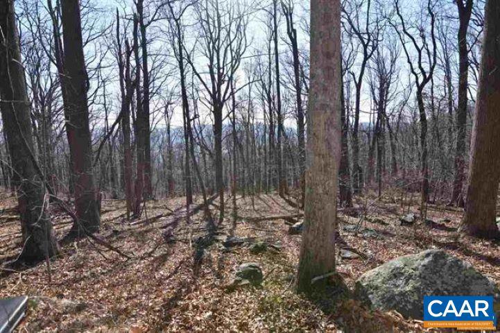 730 FAR KNOB CLIMB #15, NELLYSFORD, Virginia 22958, ,Land,For sale,730 FAR KNOB CLIMB #15,661482 MLS # 661482