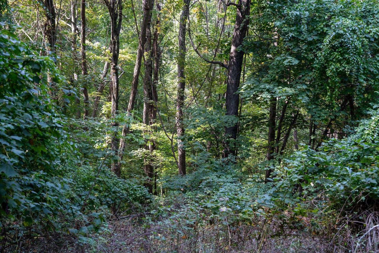 Lot 3 PRICE RIDGE RD, STANLEY, Virginia 22851, ,Land,Lot 3 PRICE RIDGE RD,661499 MLS # 661499